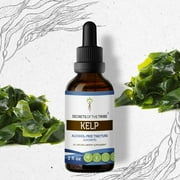 Secrets Of The Tribe Kelp Tincture Dietary Supplement, Natural Herbal Extract for Thyroid Support, Kelp (Ascophyllum nodosum) Dried Plant, Alcohol-Free Extract, Drops 2 oz
