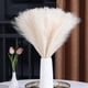 thumbnail image 4 of Flor artificial Caña de caña Hierba de la pampa Decoración de flores artificiales Arreglo floral Ventana Sala de estar Decoración de piso de boda Disparo de flores Carretera, 4 of 6
