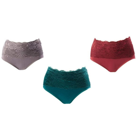 Rhonda Shear 3-pack Seamless Lace Overlay Brief Set-HAC480