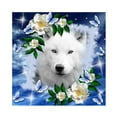 thumbnail image 1 of Wdftyju Kit de pintura de diamante 5D, flor, lobo, taladro redondo completo, diamantes de imitación, juego de arte de pared DIY Wdftyju 7nj0up2fe5lz1ht5, 1 of 9