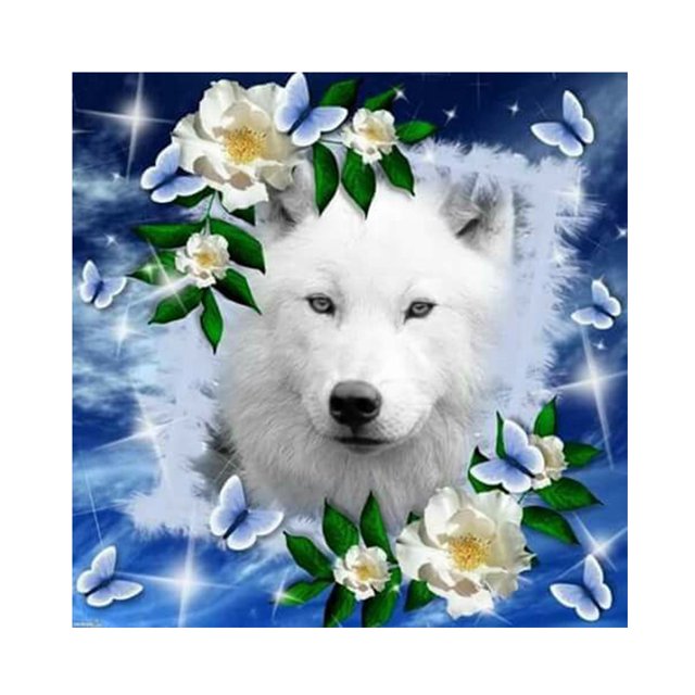 Wdftyju Kit de pintura de diamante 5D, flor, lobo, taladro redondo completo, diamantes de imitación, juego de arte de pared DIY Wdftyju 7nj0up2fe5lz1ht5