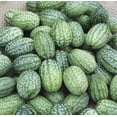 thumbnail image 3 of HJADGG Cucamelon Mouse Melon Seeds-50 Seeds Seeds, 3 of 5