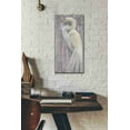 thumbnail image 2 of Epic Graffiti 'Coastal Egret II Legs' by Albena Hristova, Canvas Wall Art, 12"x24", 2 of 2