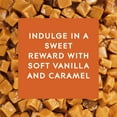 thumbnail image 4 of Glade Automatic Spray Refill, Air Freshener, Vanilla Caramel Twist, Fragrance Infused with Essential Oils, 6.2 oz, 4 of 18