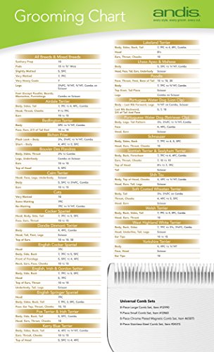 andis grooming chart