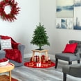 thumbnail image 7 of 3ft. South Carolina Spruce Artificial Christmas Tree with 100 White Warm Light and 458 Bendable Branches, 7 of 7
