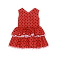 thumbnail image 2 of TiaoBug Little Girls Sleeveless Tassels Fringe V-Neck Tank Dress Princess Polka Dots Layered Tutu Party Dresses Red 18-24M, 2 of 7