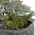 thumbnail image 2 of Uttermost Alverio Contemporary Plastic Iron Cement Succulents in Black/Green, 2 of 5