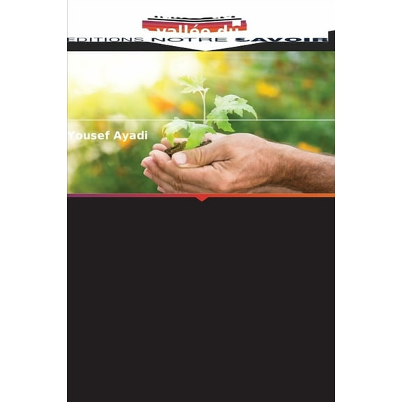 Gouvernance de l'eau dans la vallée du Jourdain, (Paperback)