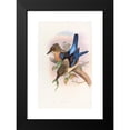 thumbnail image 2 of John Gould 11x14 Black Modern Framed Museum Art Print Titled - Mantled Kingfisher (1850-1883), 2 of 5