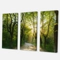 thumbnail image 2 of Designart - Evening in Green Forest - Landscape Canvas Art Print, 2 of 3