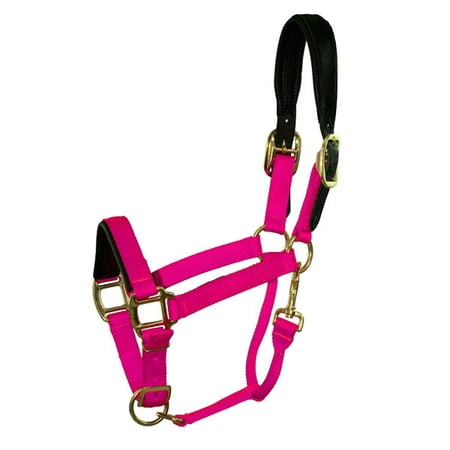 Intrepid International Chafeless Breakaway Halter Padded Crown and Nose Pony 3-5-Sweet Watermelon