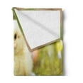 thumbnail image 2 of Chicks Soft Flannel Fleece Throw Blanket, Photo of Little Chickens on Clovers with Blurry Backdrop Easter Eggs, Cozy Plush for Indoor and Outdoor Use, 70" x 90", Pale Yellow Fern Green, by Ambesonne, 2 of 5
