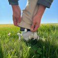 thumbnail image 2 of Golf Ball Ankle Holder Funny Ankle Golf Ball Dropper Unique Gag Gift Golf Lovers, 2 of 5