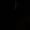 BLACK, variant on Men's Cargo Pants with 8 PocketsCargo Work Pants