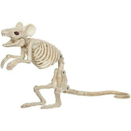 Mouse Standing Skeleton Halloween Decoration, Natural Bone