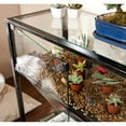 thumbnail image 3 of SEI Furniture Distressed 2 Door Metal Terrarium Display Console Table, Black, 3 of 5