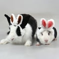 thumbnail image 2 of Pet Guinea Pig Kittens Warm Plush Hat Adjustable Headband with Cute Rabbit Ears, 2 of 8