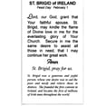 thumbnail image 2 of St. Brigid of Ireland holy card - laminated - Pack of 25, 2 of 2