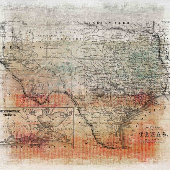 Parvez Taj - "texas Map" Painting Print
