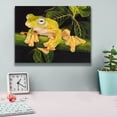 thumbnail image 4 of Epic Graffiti 'Musky Flying Frog' by Barbara Keith, Canvas Wall Art, 16"x12", 4 of 8