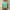Mint Green #31, variant on Womens Long Sleeve Knit Tops Round Neck Women's Fashion Casual Round Neck 3/4 Sleeve Printed Loose Shirt Blouse Tops Printed Long Sleeve Pullover Sweatshirt Tops Stripe Button Long Sleeve Pullover