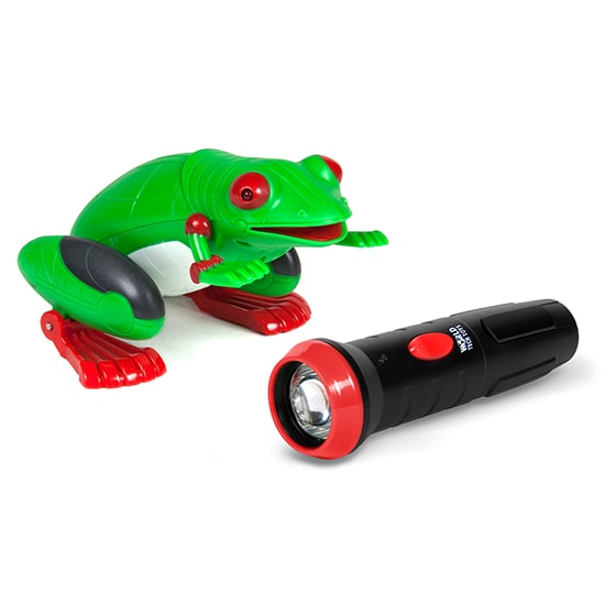frogger remote control car