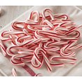 Greenco Candy Canes Individually Wrapped Red and White Candy Canes