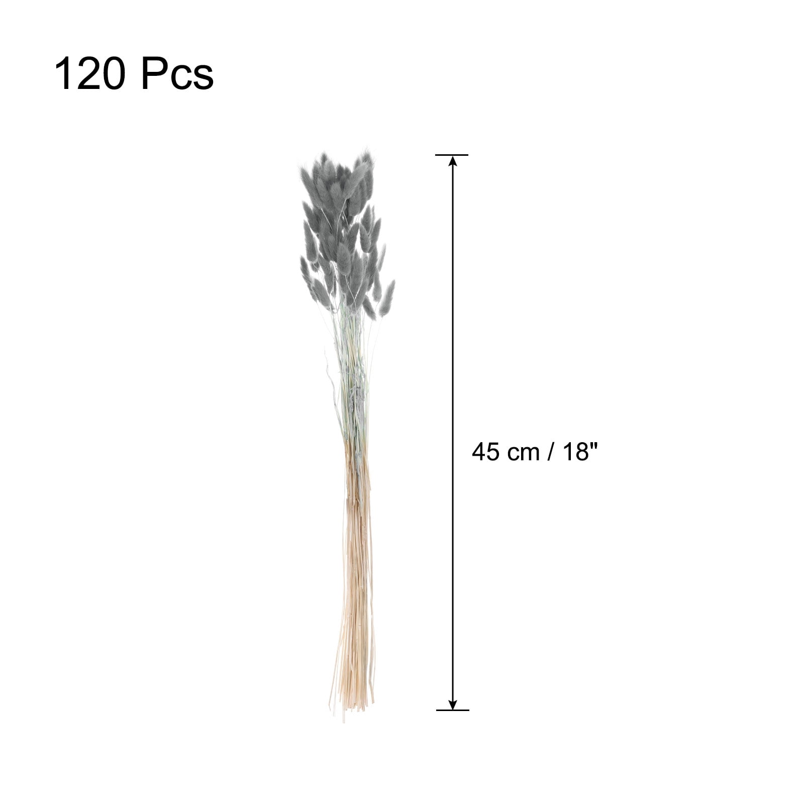 Uxcell 120pcs Natural Rabbit Bunny Tails Dried Flowers 18" Mini Pampas Grass Lagurus Ovatus Bunch for Floral Wedding Decor, Gray