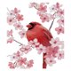 thumbnail image 1 of (DA321) Hilo Algodón Ecológico 14CT Impresión 2 Hebras 31 × 35 Cm Pájaro Vientre Rojo Dos (impresión) Serie en Punto Cruz Kit Bordado Diy Tela Hecha A Mano (instrucciones en Inglés), 1 of 10