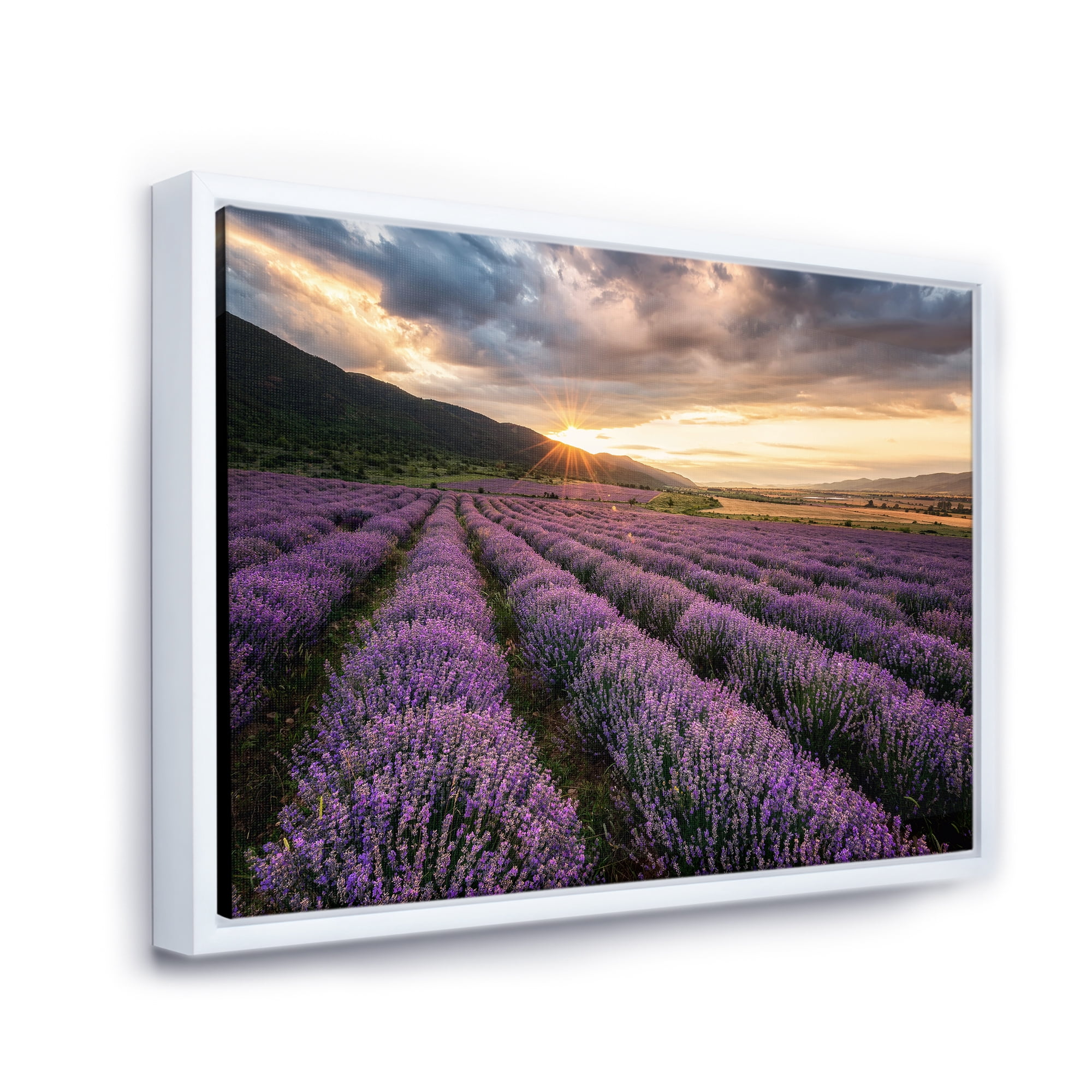 Designart 'Dramatic Clouds and Sunrise Over Lavender Field VI' Farmhouse Framed Canvas Wall Art Print