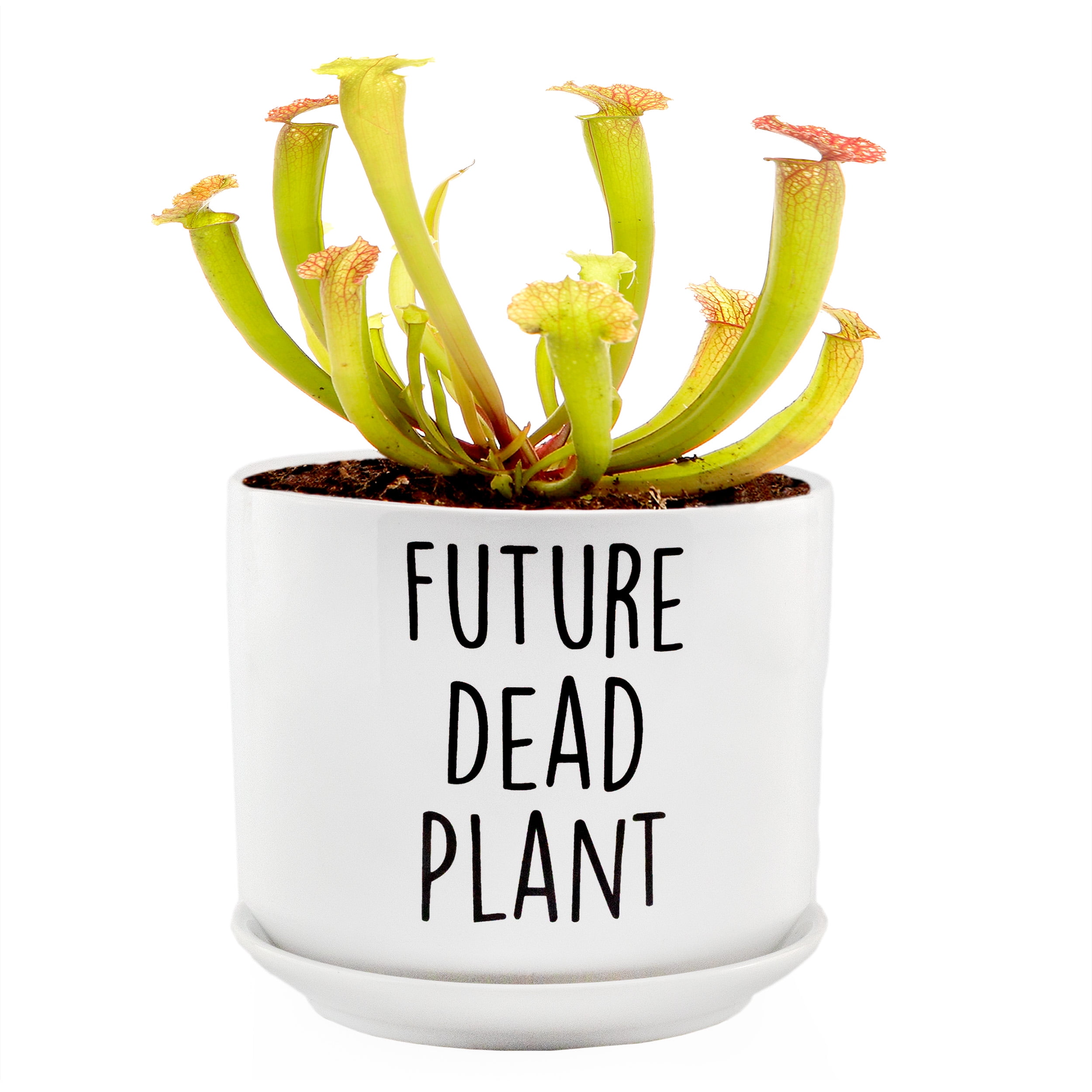Esterno Future Dead Plant Pot (2-Piece Ceramic Black Thumb Planter Pot Gift w/ Saucer - Walmart.com
