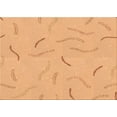 thumbnail image 1 of Ahgly Company Tapis Rectangulaire Lavable en Machine Orange Transitionnel, 6 Pieds x 9 Pieds, 1 of 7