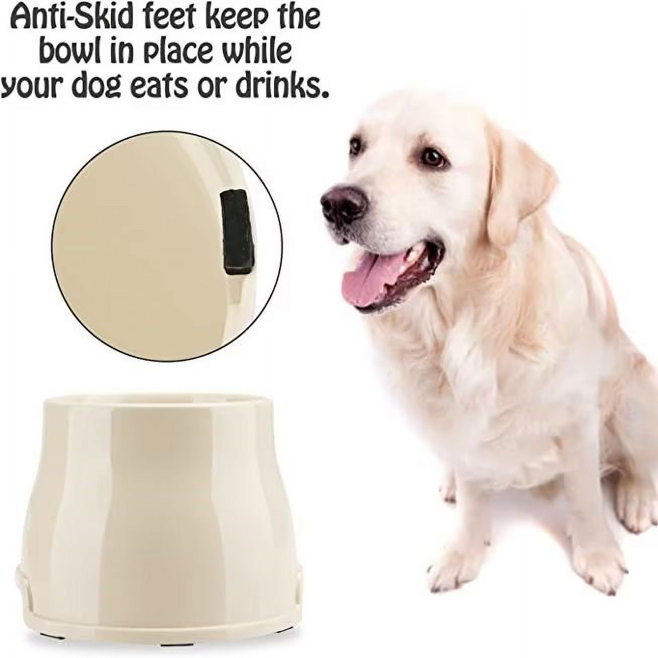 Gamelle Surélevée Pour Chien à Oreilles Longues - Anti-dérapante, 3 Tailles (S, M, L), Idéale Pour éviter Les Infections