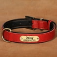 thumbnail image 6 of Didog Personalized Leather Name Dog Collar Soft Padded Adjustable for Small Large Pets, 6 of 6