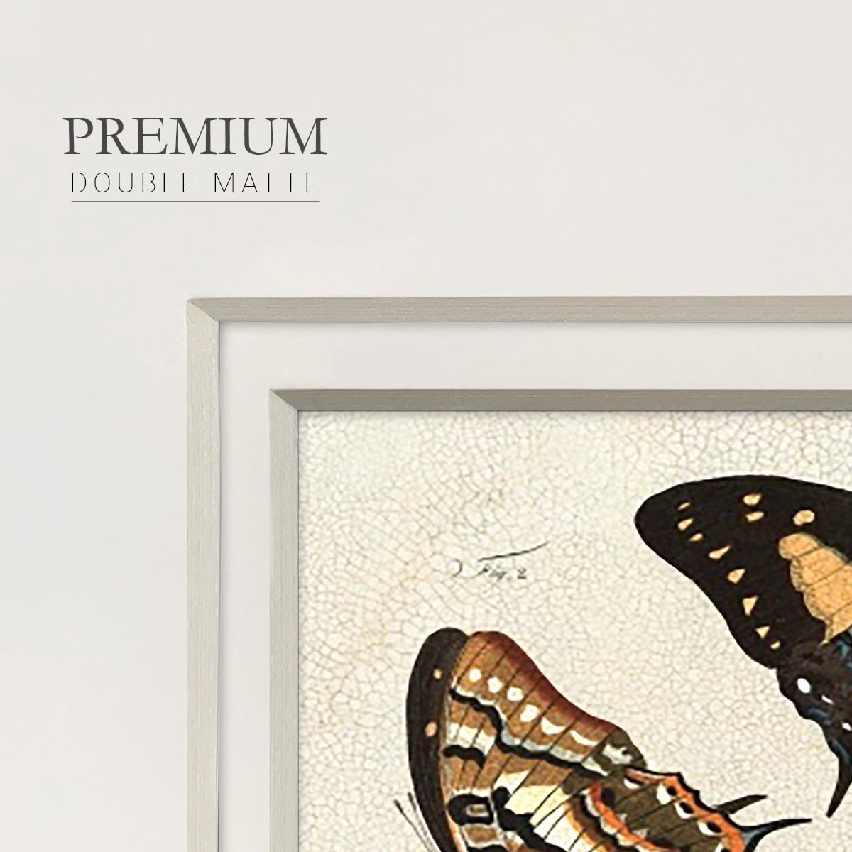 Crackled Butterflies IVPremium Framed Print