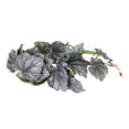 thumbnail image 2 of Reptile Plants Decorations, Reptile Artificial Plastic Plants Safe With Suction Cups For Reptile Tank For Rainforest Tank, 2 of 8