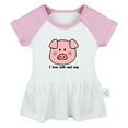 thumbnail image 1 of I Love Milk And Nap Funny Dresses For Baby, Newborn Babies Animal Pig Pattern Skirts, Infant Princess Dress, 0-24M Kids Graphic Clothes (Gray Raglan Dresses, 6-12 Months), 1 of 4