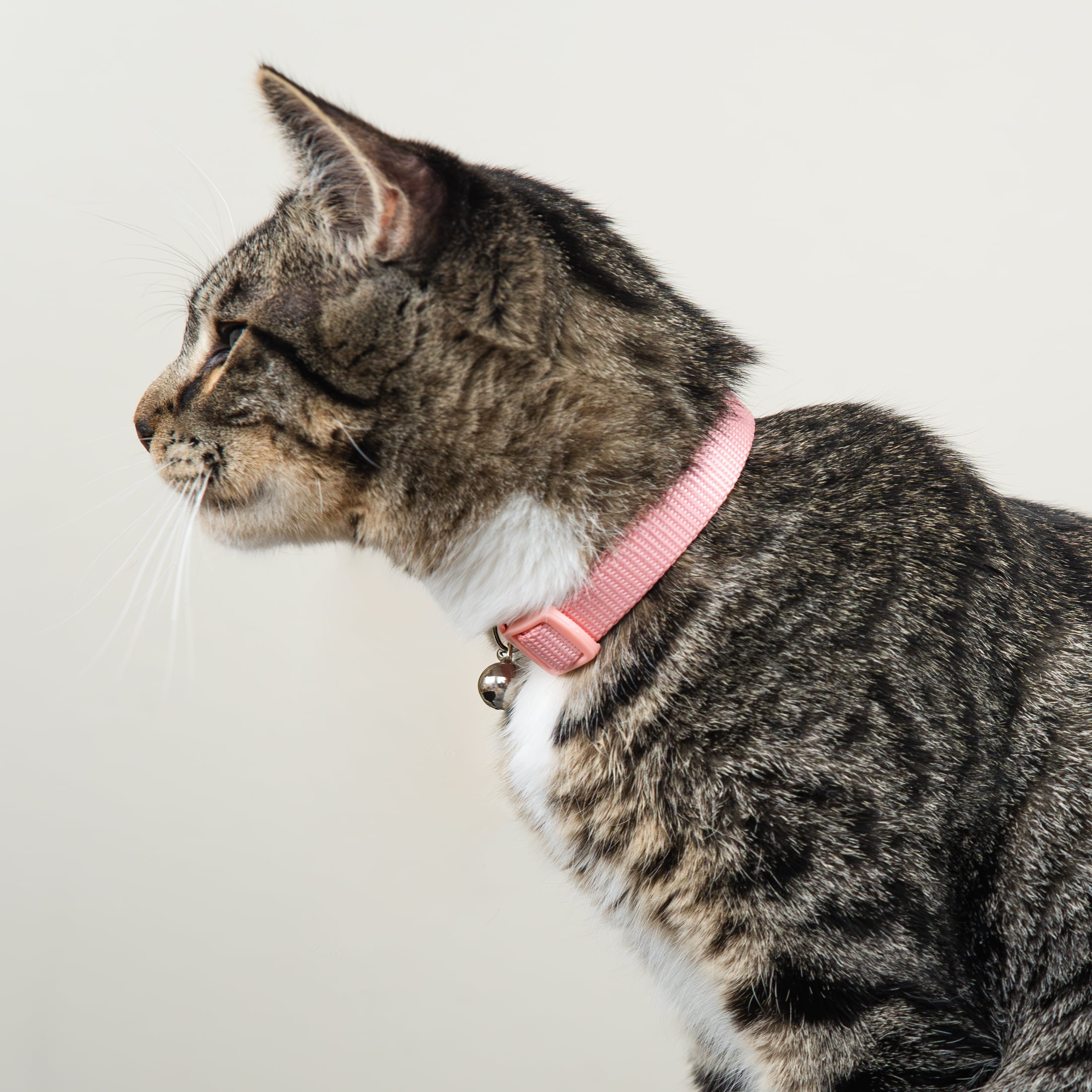 Vibrant Life Polyester Solid Breakaway Fashion Cat Collar, Blush, One Size Fits Most