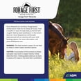 thumbnail image 2 of ADM Forage First Horse Rewards 3 Lb. Apple Horse Treat 80876AAAB2, 2 of 7