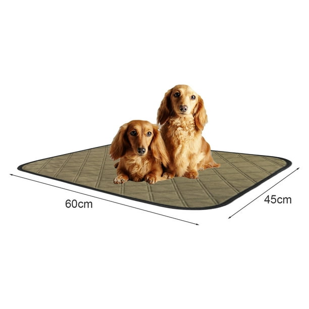 Orina Que Hacer Para Que Mi Perro No Se Suba A La Cama Los Perros Como