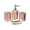Rose, variant on 4Pcs Bath Accessory Soap Dispenser Transparent Lotion Bottle Vanity Accessory Set Toilet Accessories Set Soap Dish Toothbrush Cup Decor Light Brown
