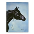 thumbnail image 2 of Trademark Fine Art 'Black Arabian' Canvas Art by Jenny Newland, 2 of 4