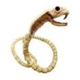 thumbnail image 1 of LUVCLS Decoración de Halloween con esqueletos de animales de Fgbetcv, decoraciones de Halloween con esqueletos de serpiente, decoraciones de esqueletos de animales de Halloween, esqueletos de animal, 1 of 7