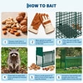 thumbnail image 6 of Large Live Animal Trap for Raccoon, Stray Dog, Fox, Groundhog, Heavy Duty Q235 Carbon Steel Humane Cage, Foldable Catch and Release Trap, 6 of 10