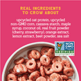 thumbnail image 2 of (Pack of 6), Seven Sundays Super Fruity Oat Protein Cereal, 8 oz, 2 of 5