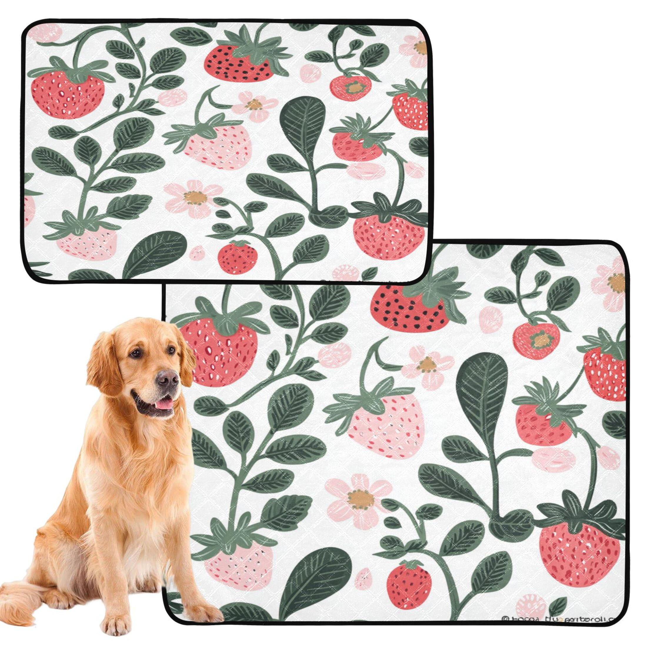 Qxltty A Seamless Pattern with Cute Strawberries Cat litter Pads Pet Set of 3 Diaper Mats Center Anti-leakage Layer Absorbent Soft and Comfortable