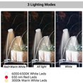 thumbnail image 2 of Lámpara LED de espectro completo 2 cabezales para plantas de interior con temporizador cuello de cisne regulable en 10, 2 of 7