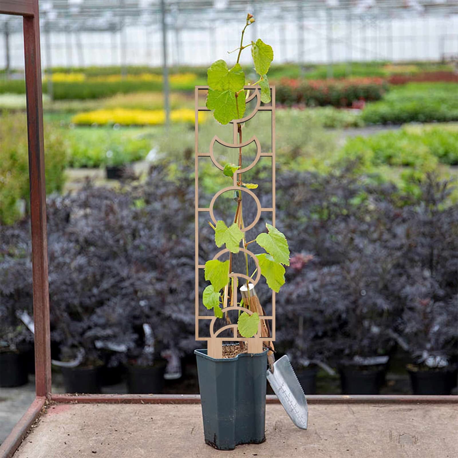 Lot De 1 Treillis En Fer Pour Plantes Grimpantes Pour Plantes Grimpantes Extérieur/intérieur, Treillis De