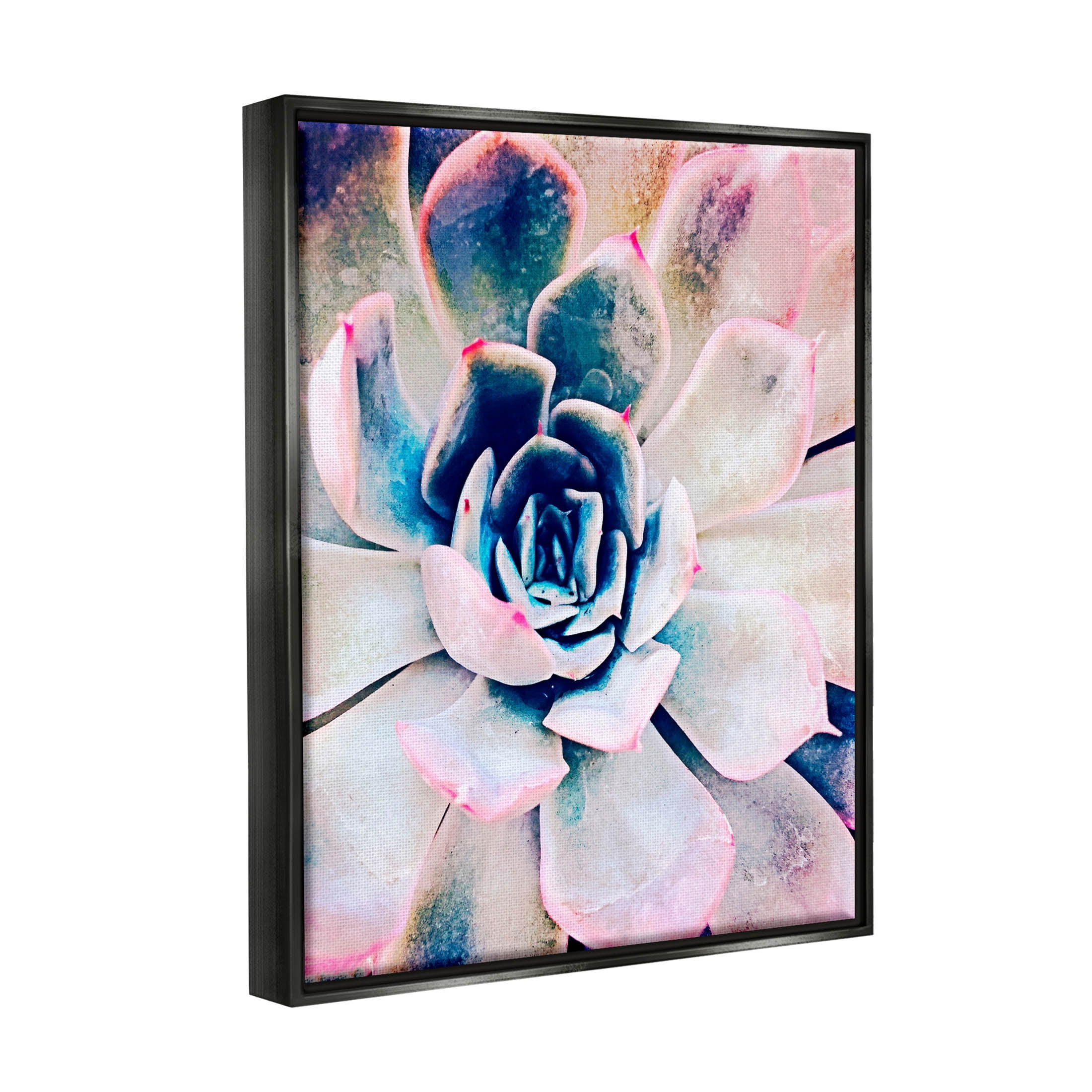 Modern Succulent Plant View Botanical & Floral Photograph Jet Black Framed Art Print Wall Art